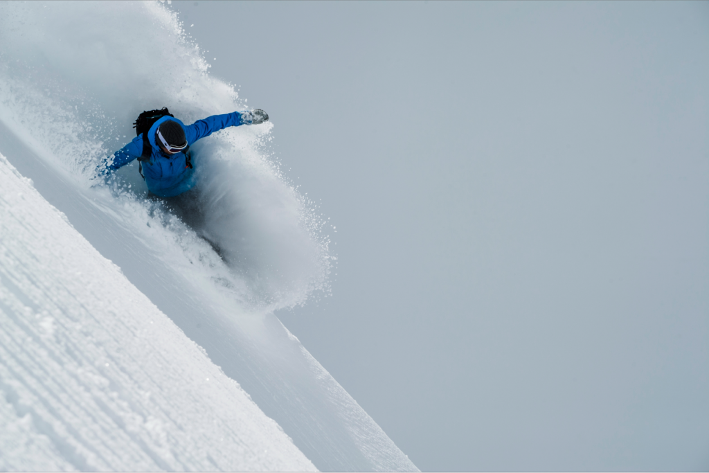 Swapping transition for pow. Photo: Animal
